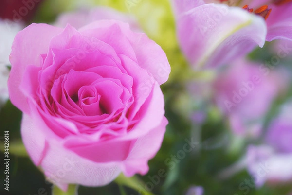 Obraz ピンク色の薔薇のをあしらったフラワーアレンジメント