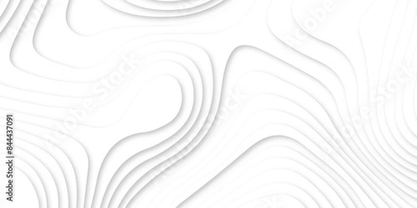 Fototapeta Abstract white paper cut background with line. 3d topography relief. Vector topographic illustration. realistic papercut decoration textured with wavy layer and shadow. seamless pattern wave design.