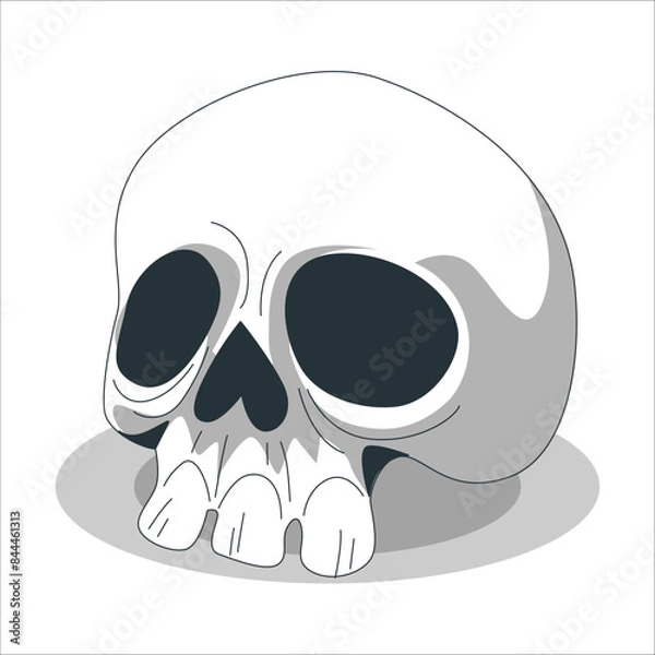 Fototapeta Anatomically correct human skulls set isolated. skull line art vector illustration. Human skull. Isolated on white background. Side and front views. Anatomy and medicine concept. 2258
