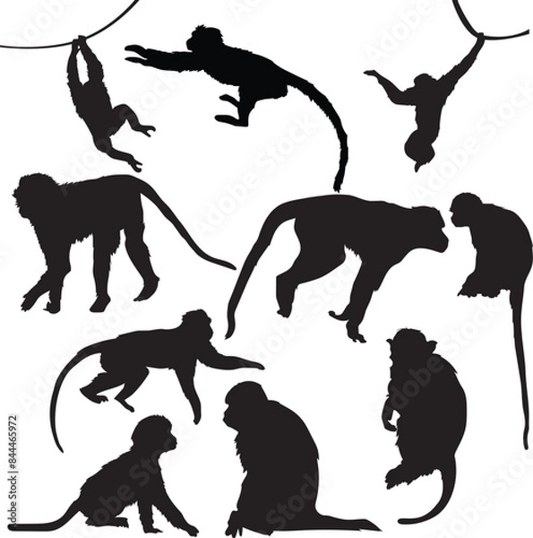 Fototapeta Monkey silhouette stock vector illustration