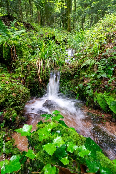 Obraz Cascade des Molières