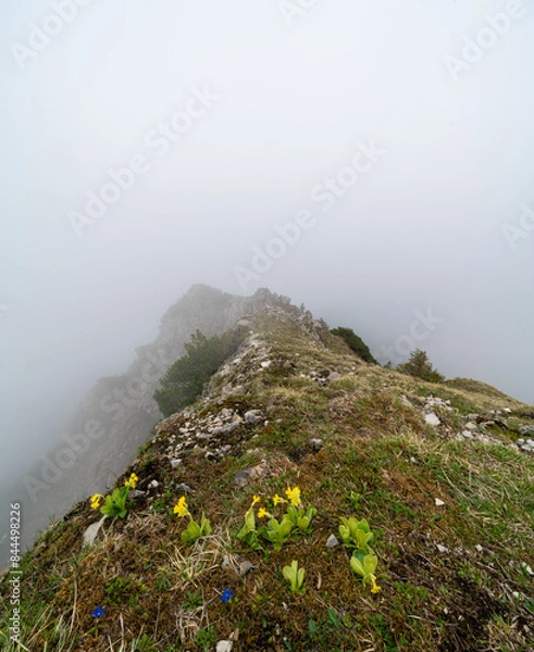 Obraz Vilser Kegel Gipfel