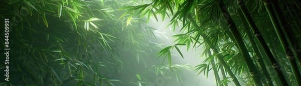 Fototapeta Sunlight filters through a lush bamboo forest, creating a serene and tranquil natural scene, perfect for meditation and relaxation themes.