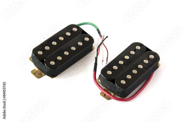 Obraz Two guitar pickups
