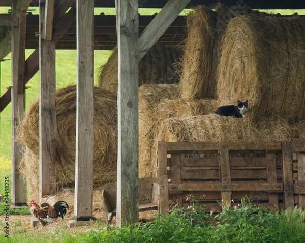 Obraz Rustic hay barn