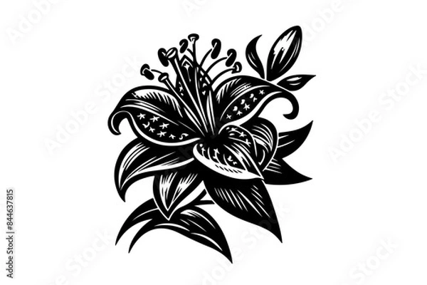 Obraz Lili Flower Vectors