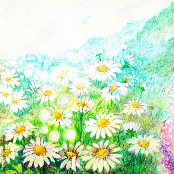 Obraz daisy garden