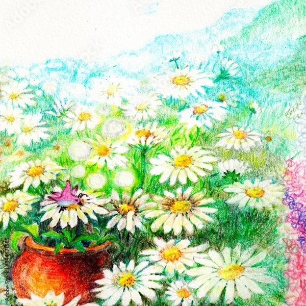 Obraz daisy garden 2