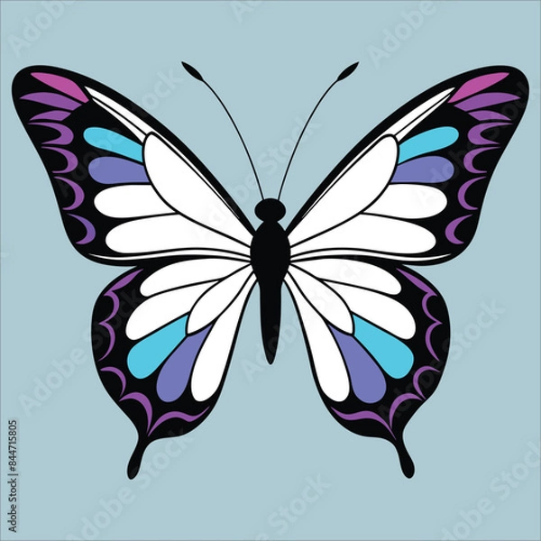 Fototapeta Beautiful butterfly vector art. vector illustration butterflies collection.