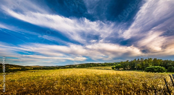Fototapeta verso il tramonto