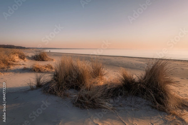 Obraz Seeking Self-knowledge