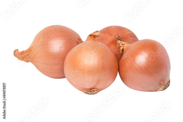 Obraz Fresh onion Group
