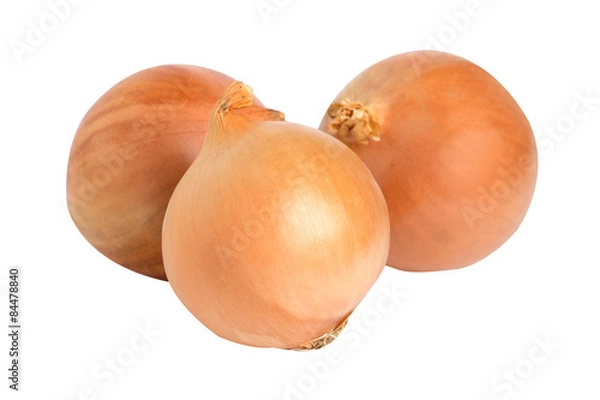 Obraz Fresh onion Group