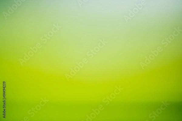 Obraz green background