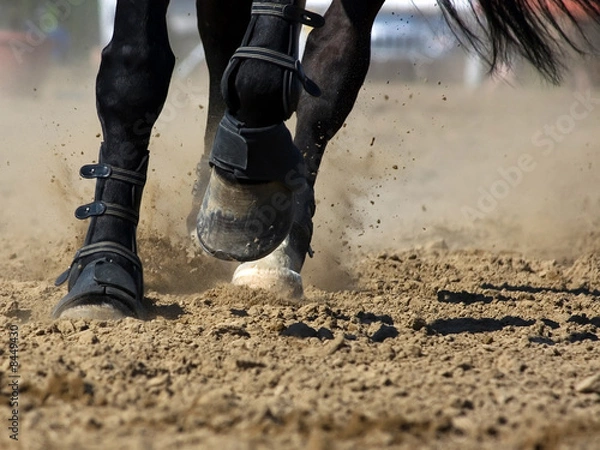 Obraz Horsepower