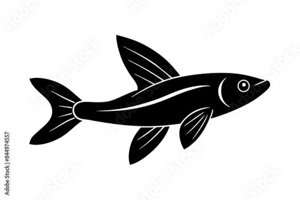 Obraz Flying Fish silhouette vector illustration