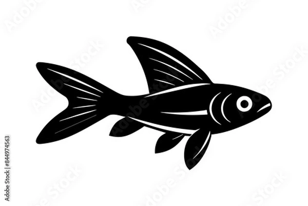 Obraz Flying Fish silhouette vector illustration