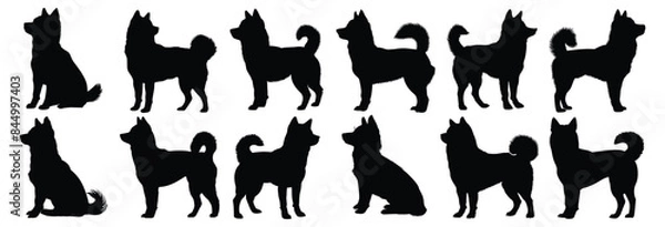 Fototapeta Dog silhouettes set, pack of vector silhouette design, isolated background