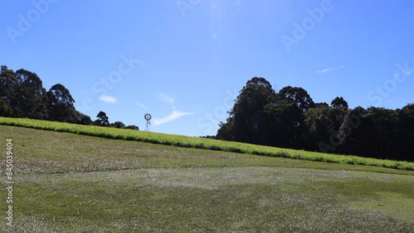 Obraz Golf course landscape