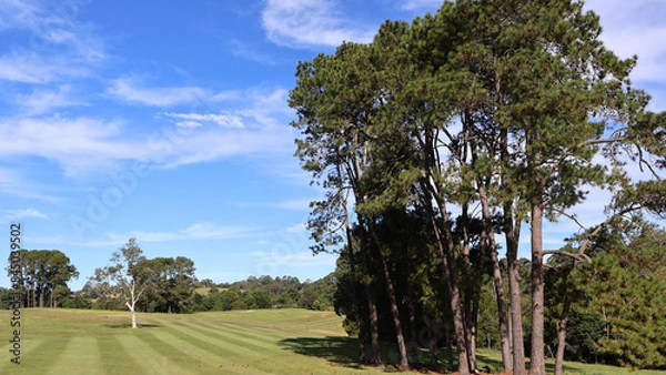 Obraz Golf fairway, golf course greenery