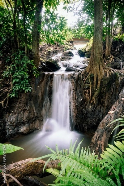 Obraz Serene waterfall cascading in lush green forest