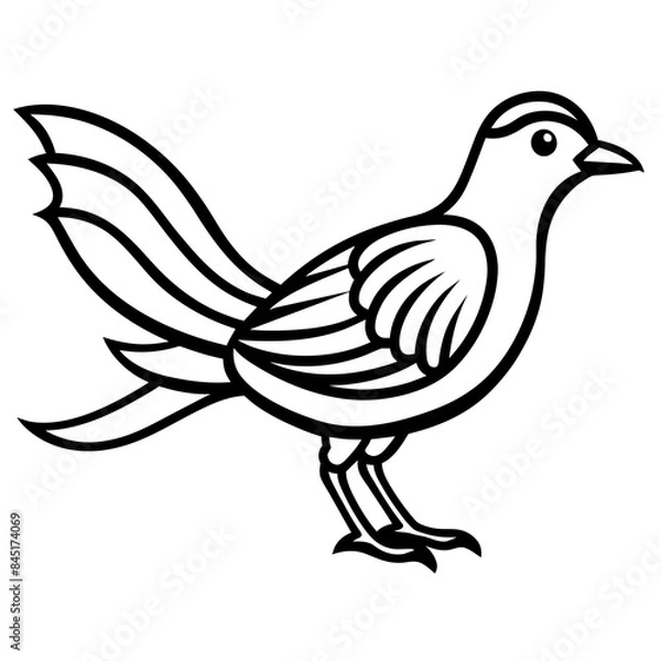 Fototapeta Dove of peace isolated - Vector design and illustration - Digital vector - Latest vector - Premium Victor