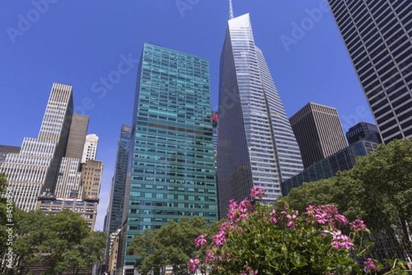 Fototapeta アメリカ通りの近代ビル群