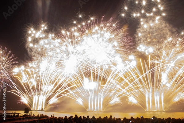 Fototapeta 千葉の秋花火