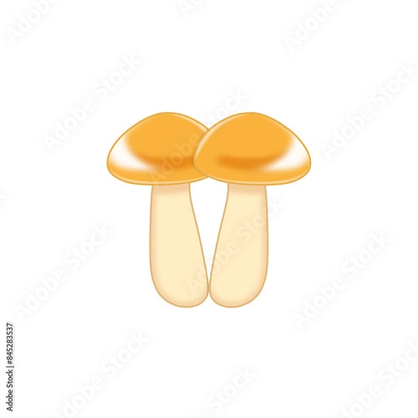 Fototapeta 黄色のキノコ2つ