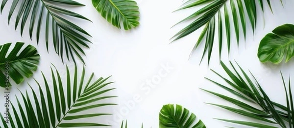 Obraz Green palm leaf branches on a white background in a flat lay, viewed from above