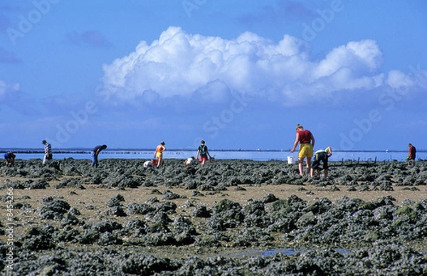 Obraz PÊCHE À PIED