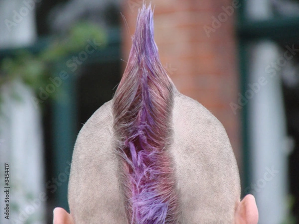 Fototapeta Irokesenschnitt