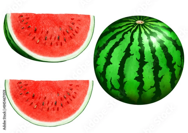 Fototapeta ベクター  丸ごとスイカとカットされたスイカ