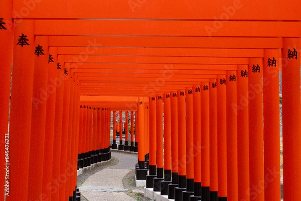Obraz 【青森県】高山稲荷神社の千本鳥居