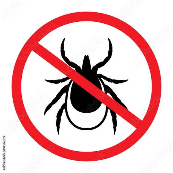 Fototapeta vector image of a tick in a red crossed-out circle - ticks stop