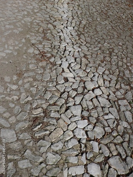 Fototapeta way of paving stones