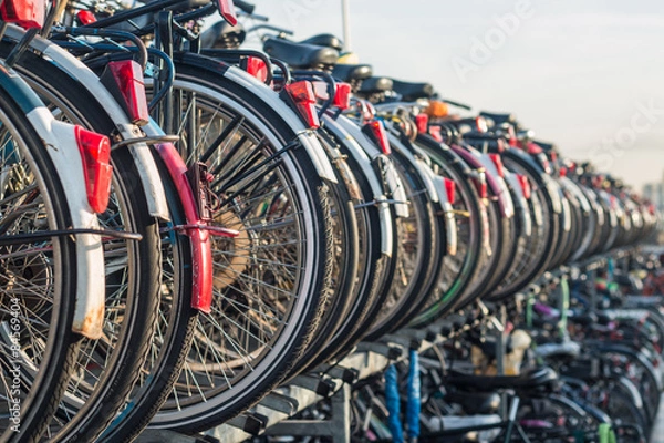 Obraz Rowery zaparkowane w Delft