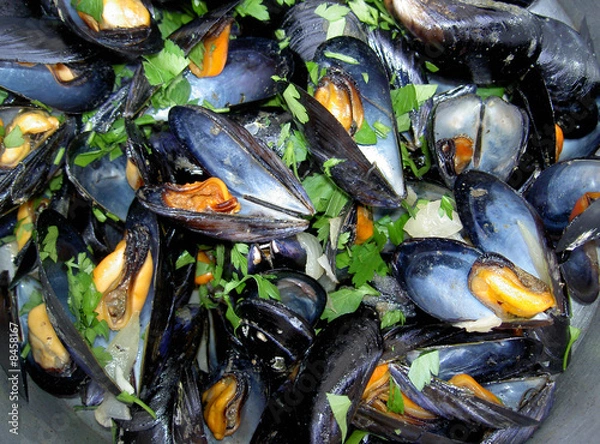 Fototapeta moules