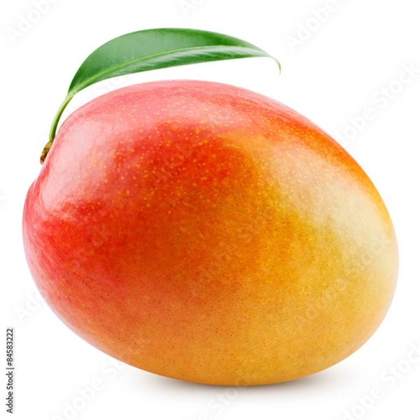Obraz mango
