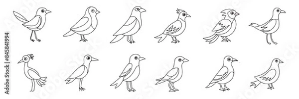 Fototapeta Collection of abstract bird in doodle style. Hand drawn vector art.