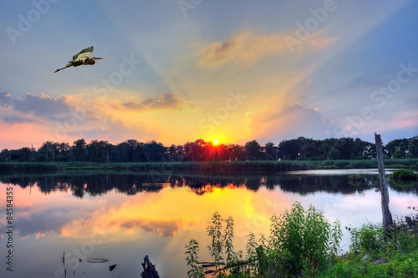 Obraz Sunset on a Chesapeake Bay pond