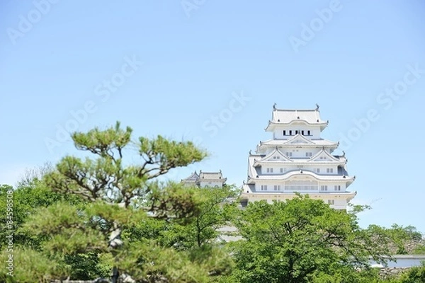 Fototapeta 姫路城