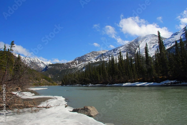 Obraz Wild mountain stream in Alaska