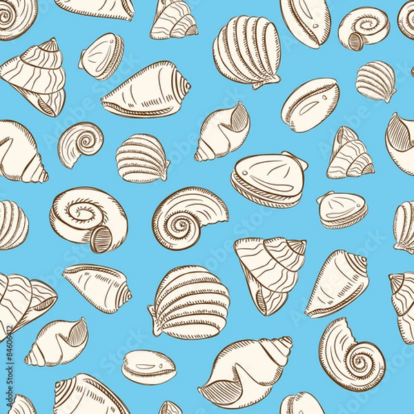 Fototapeta sea shells background