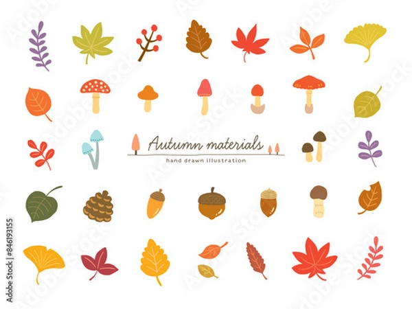 Obraz 秋の植物、きのこの手描きイラストセット