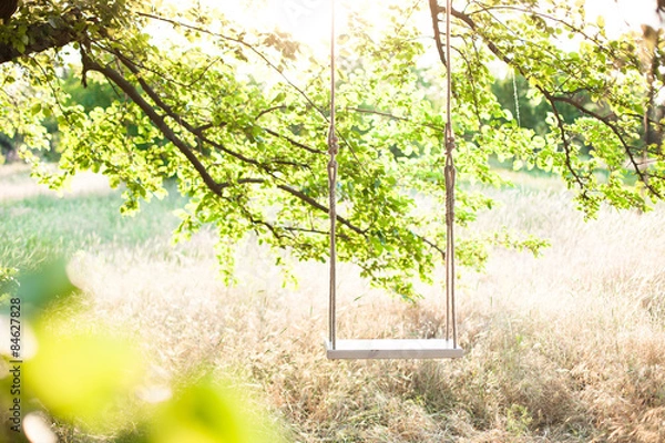 Obraz The swing