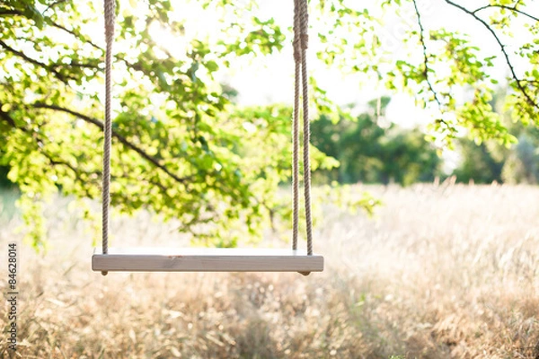 Obraz The swing