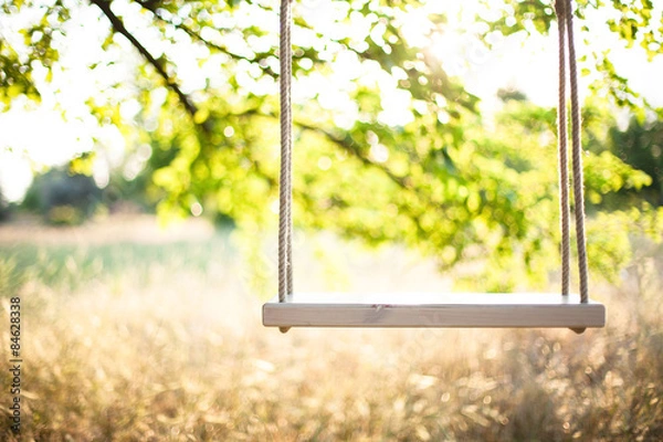 Obraz The swing