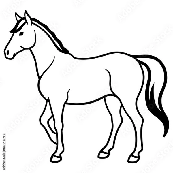Obraz black horse vector illustration