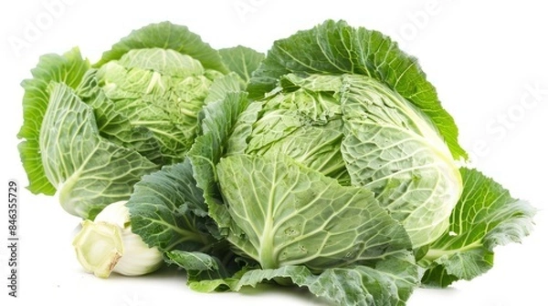 Fototapeta Cabbage isolated white background
